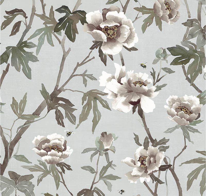 Peonia
