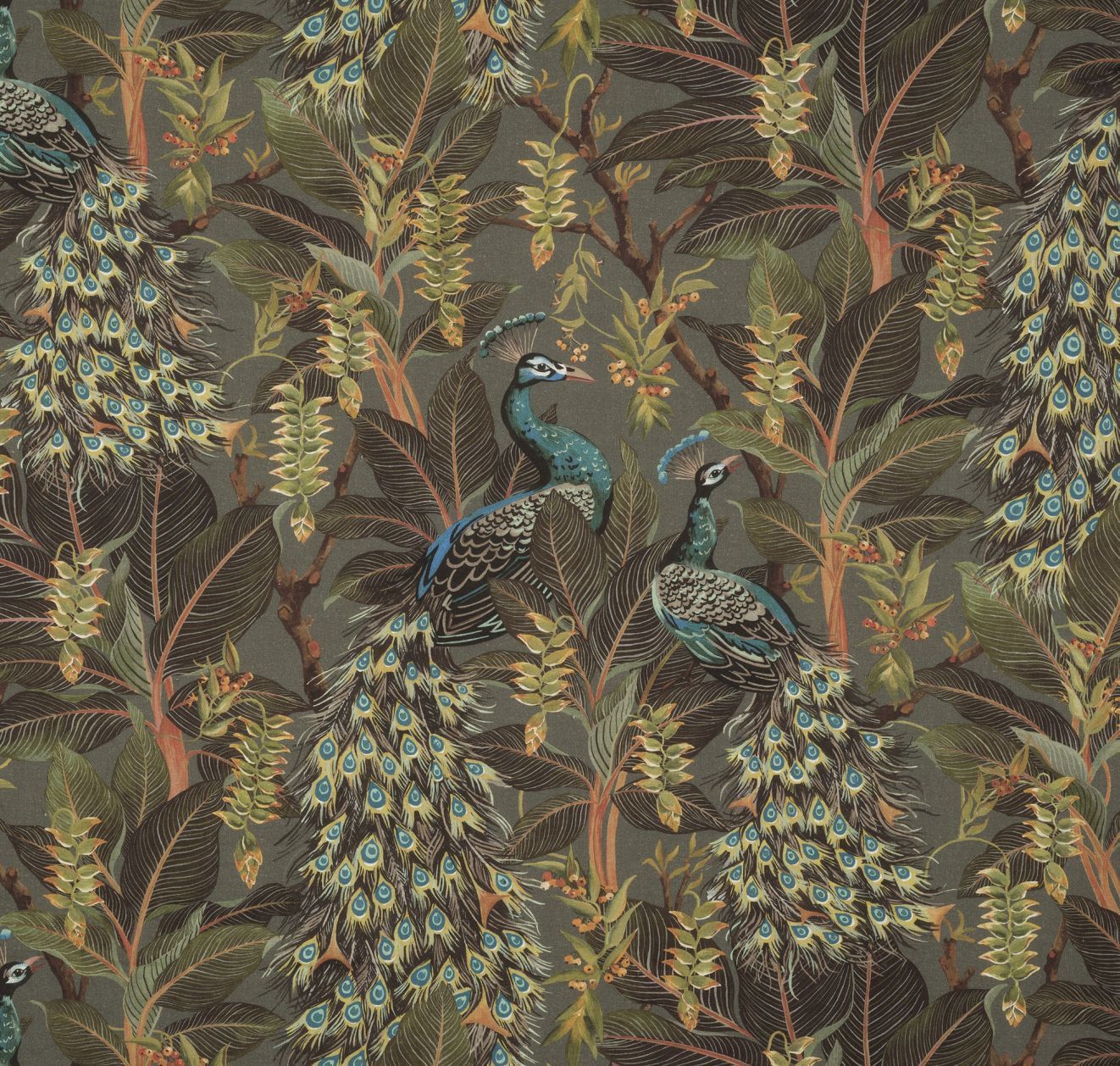 Royal Peacock*