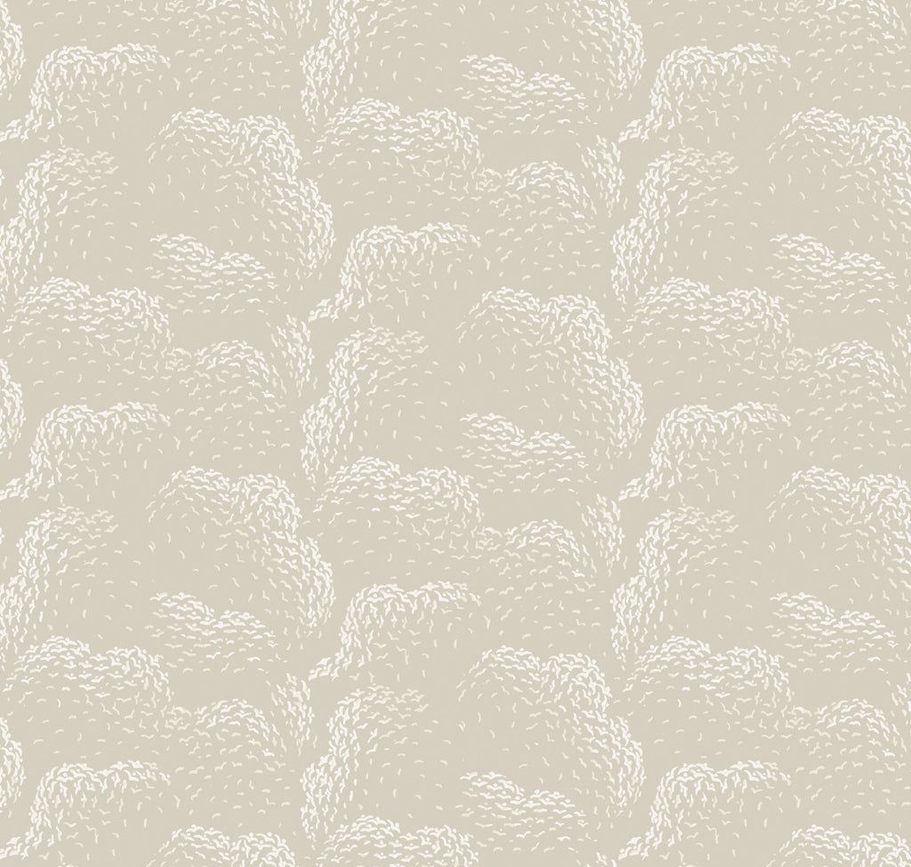 Clouds