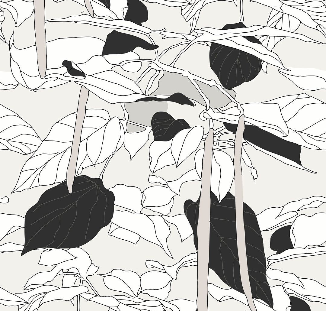 Canopy Sketch