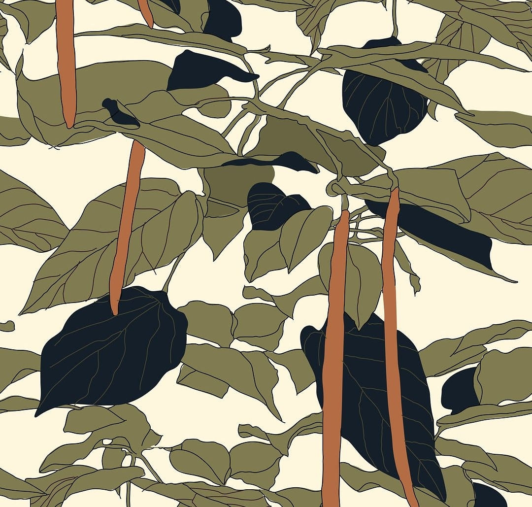 Canopy Sketch