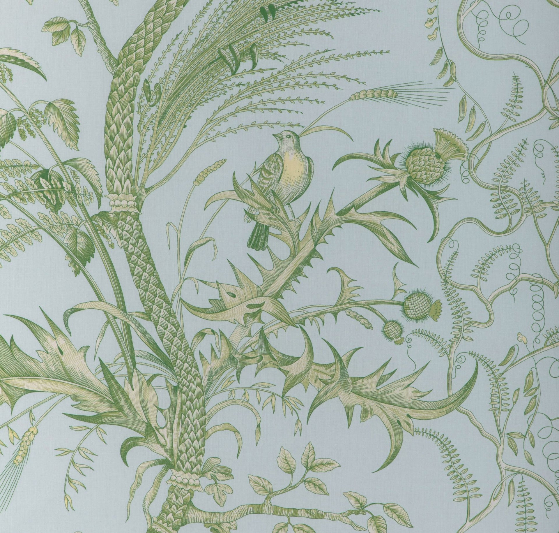 Bird and Thistle II