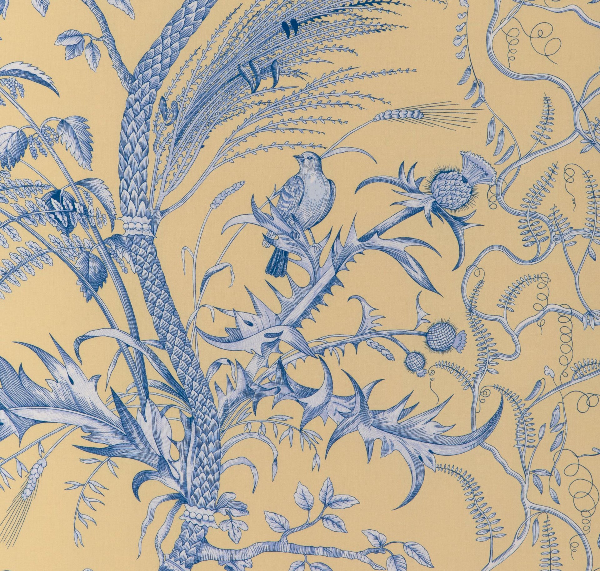 Bird and Thistle II