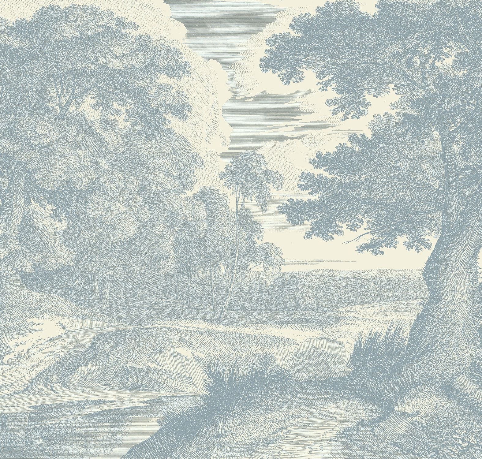 Edge of a Wood