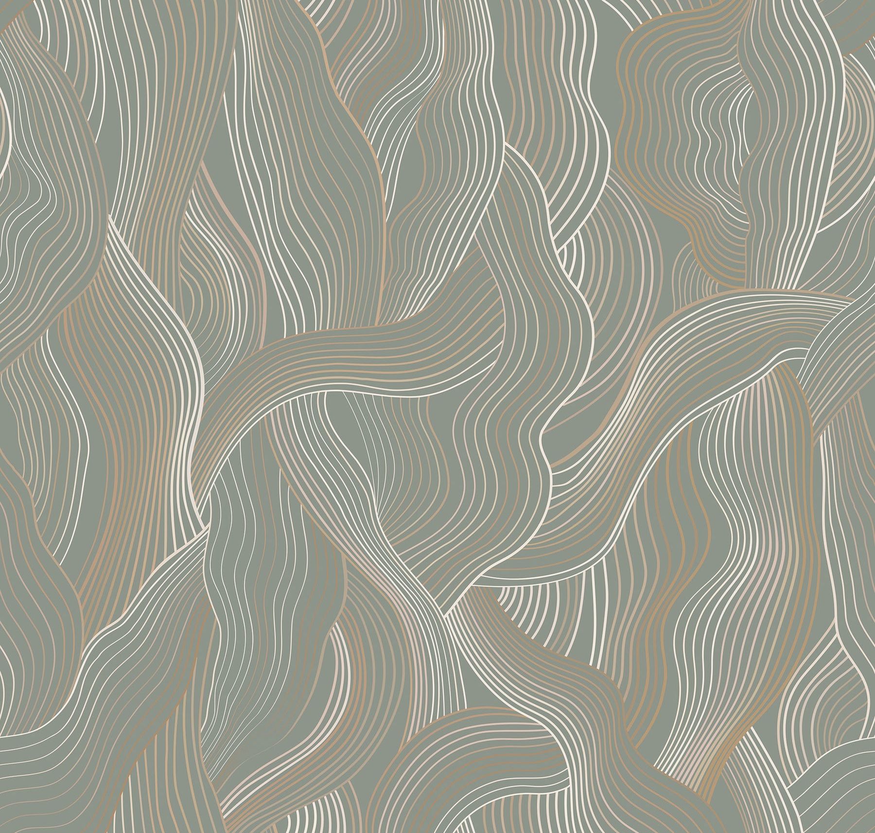 Meraki