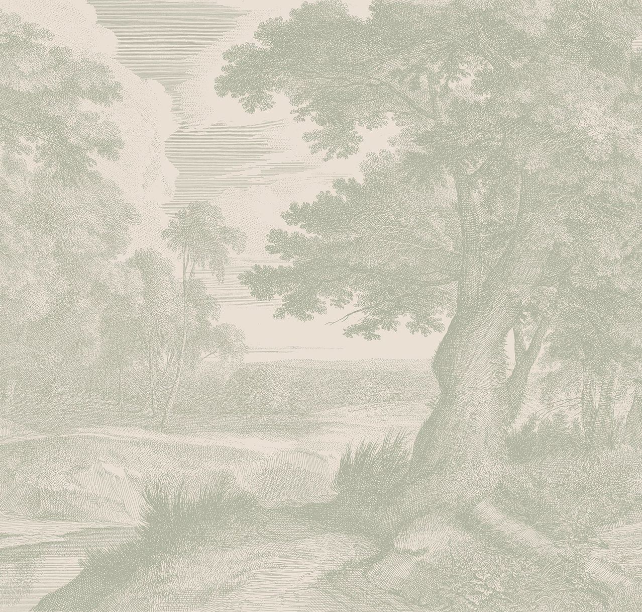 Edge of a Wood