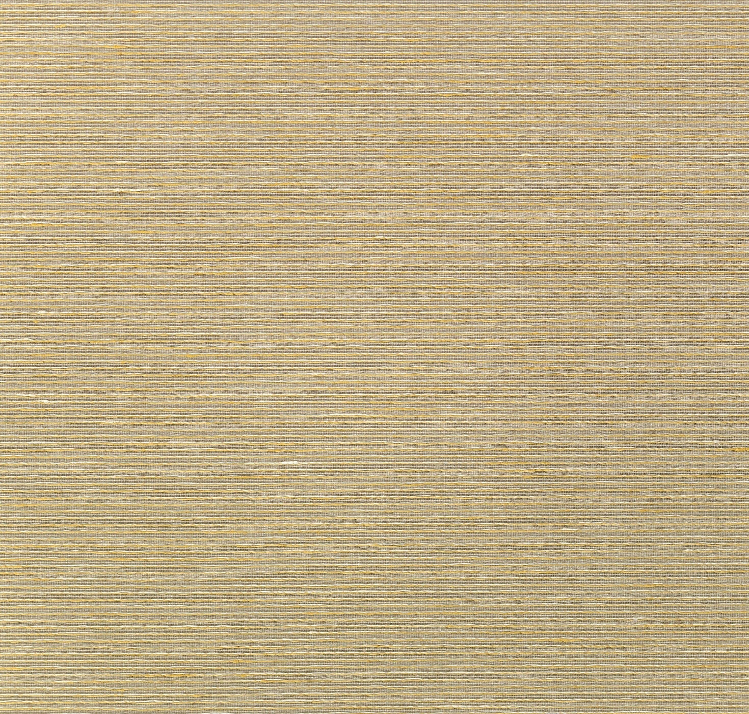 Marcello Texture