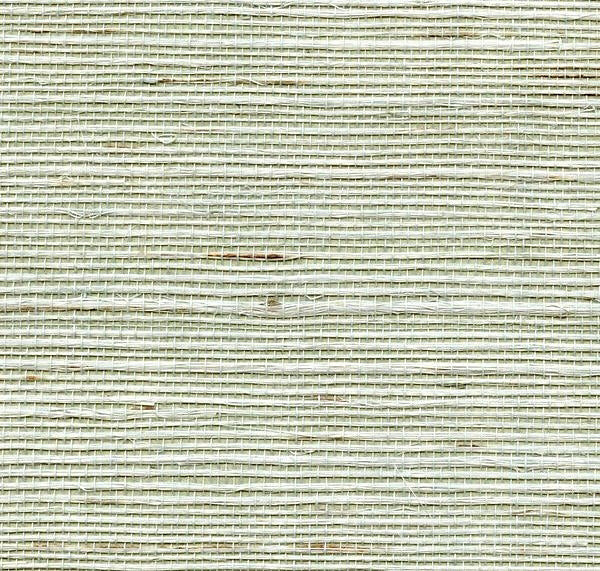 Premier Fabrics - Premium Designs for Everyone