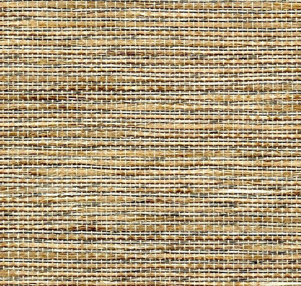 Levant Palm