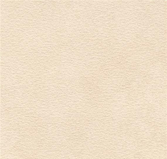 AC Daytona Microsuede